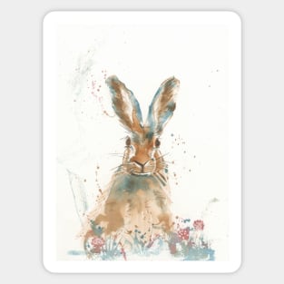 Startled hare Sticker